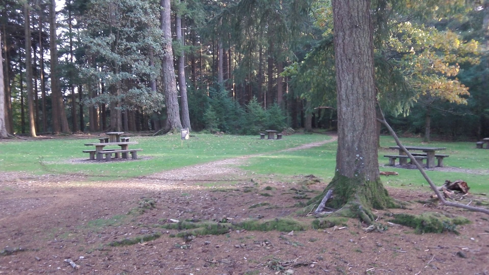 Picnic Area