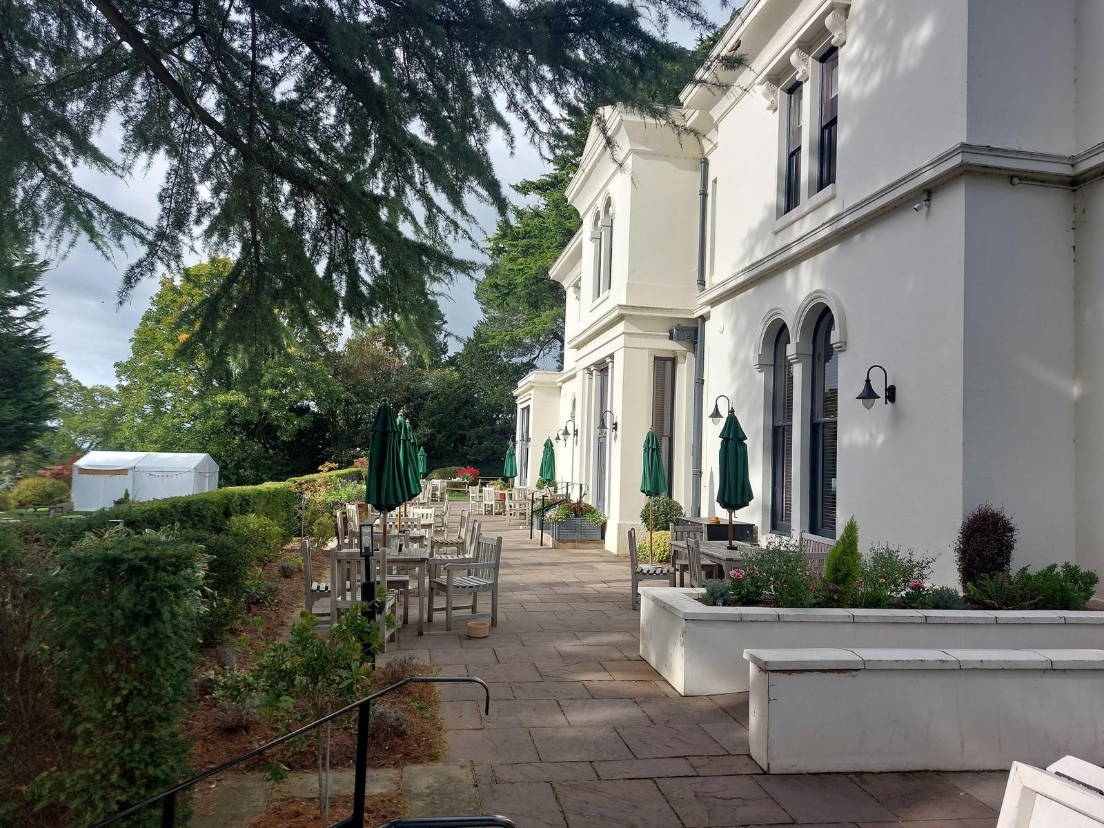 Roe Deer pub