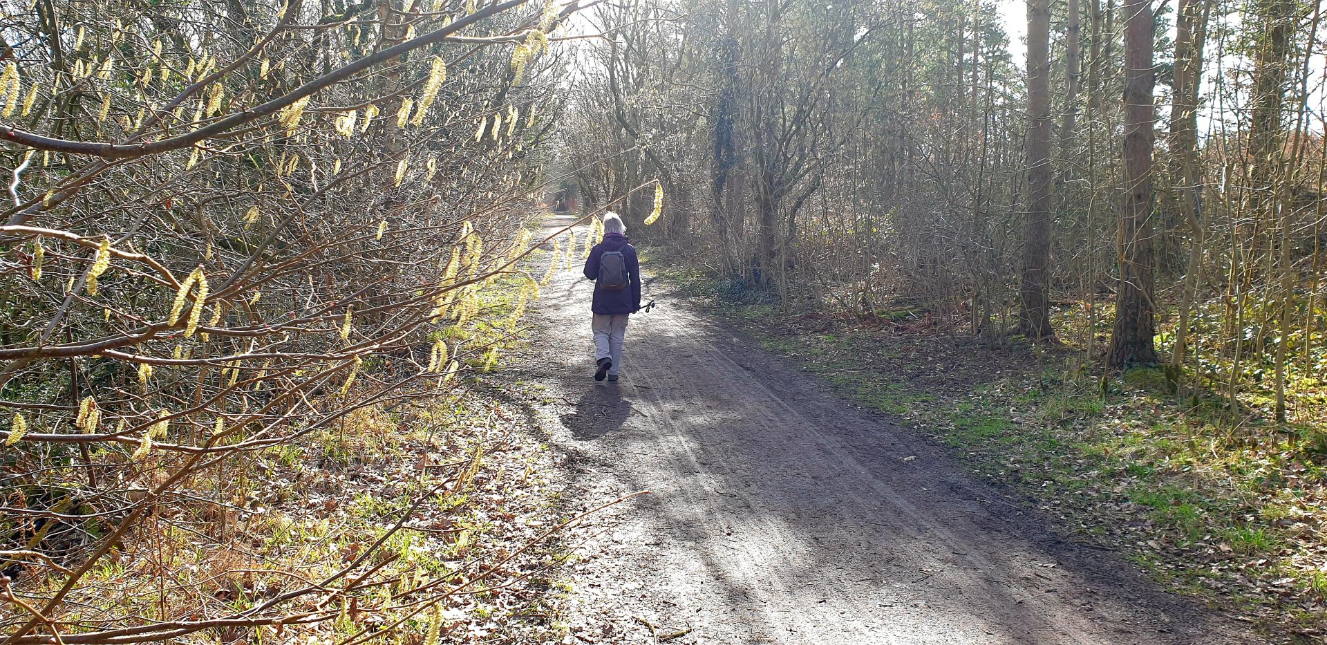 Railway Path