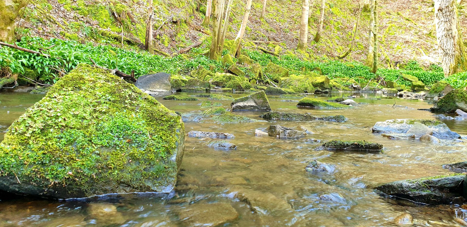 River Deerness