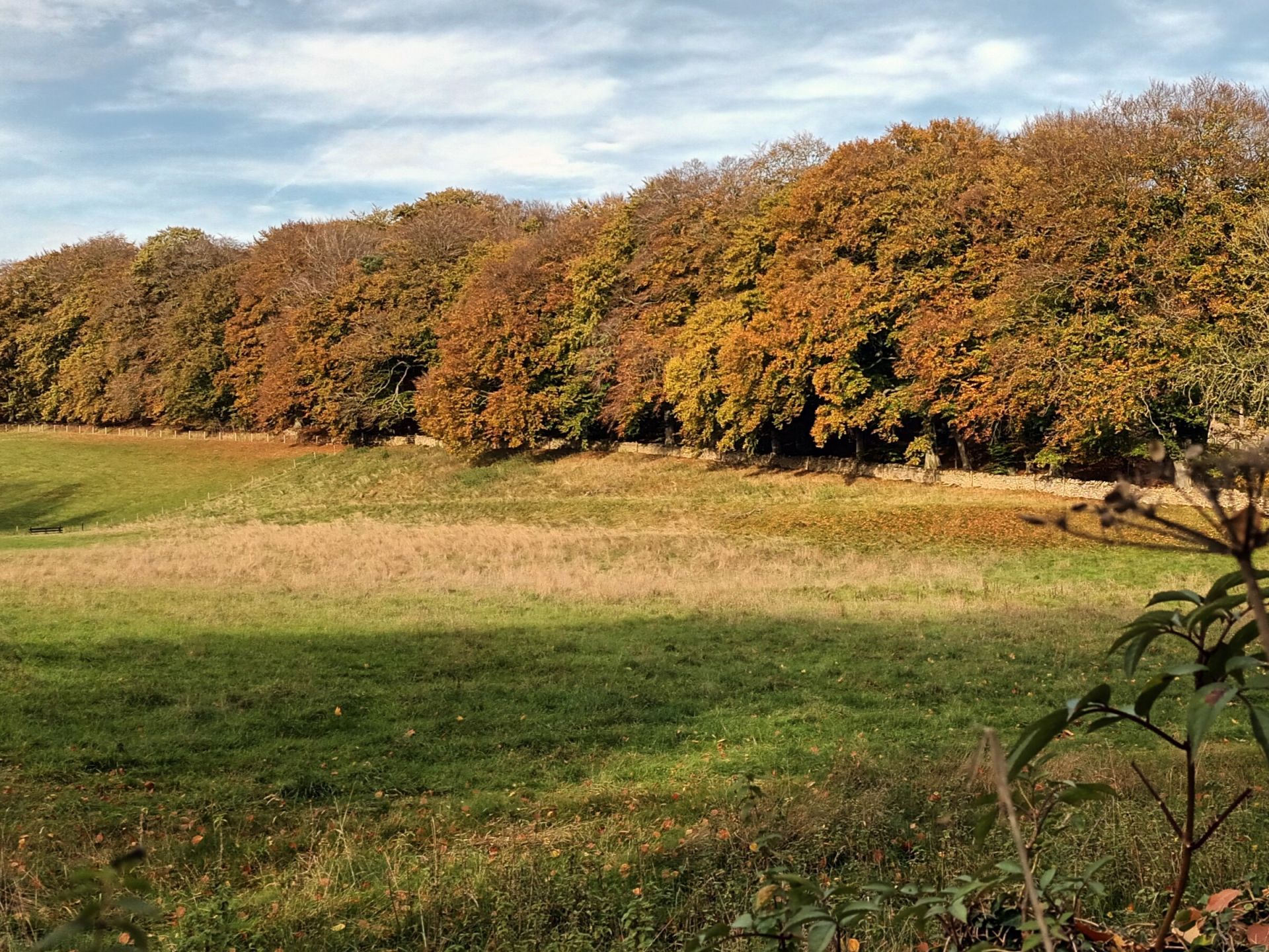 View of dry valley at Hinchwick