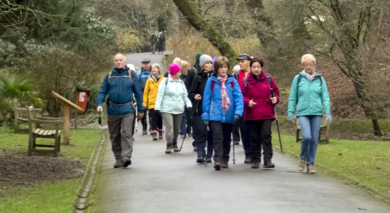 Descending through Clyne Gardens