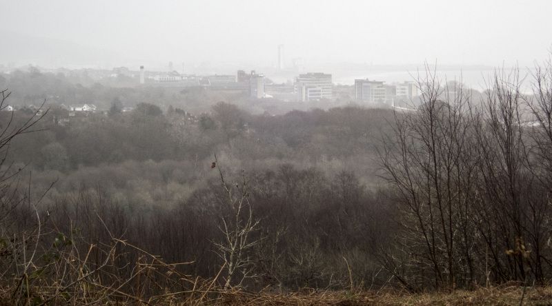 Swansea as seen from Clyne Country Park