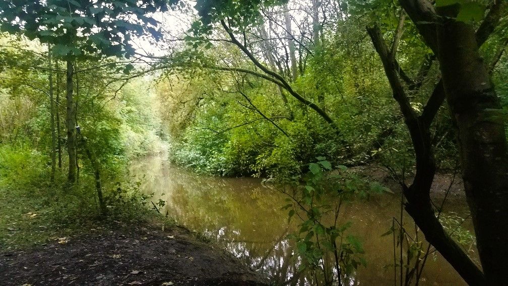 walk 2
