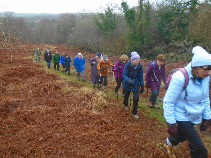 Ascending the high ground in Penllergaer