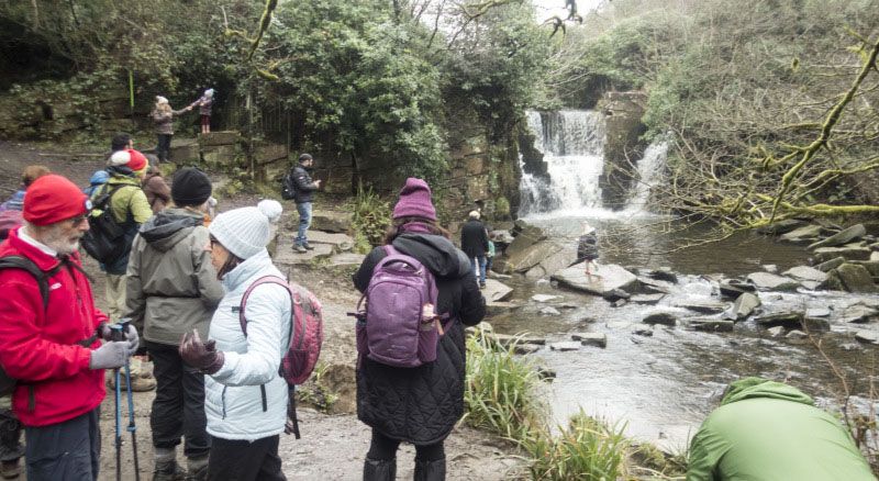 Viewing the cascade in Penllergaer