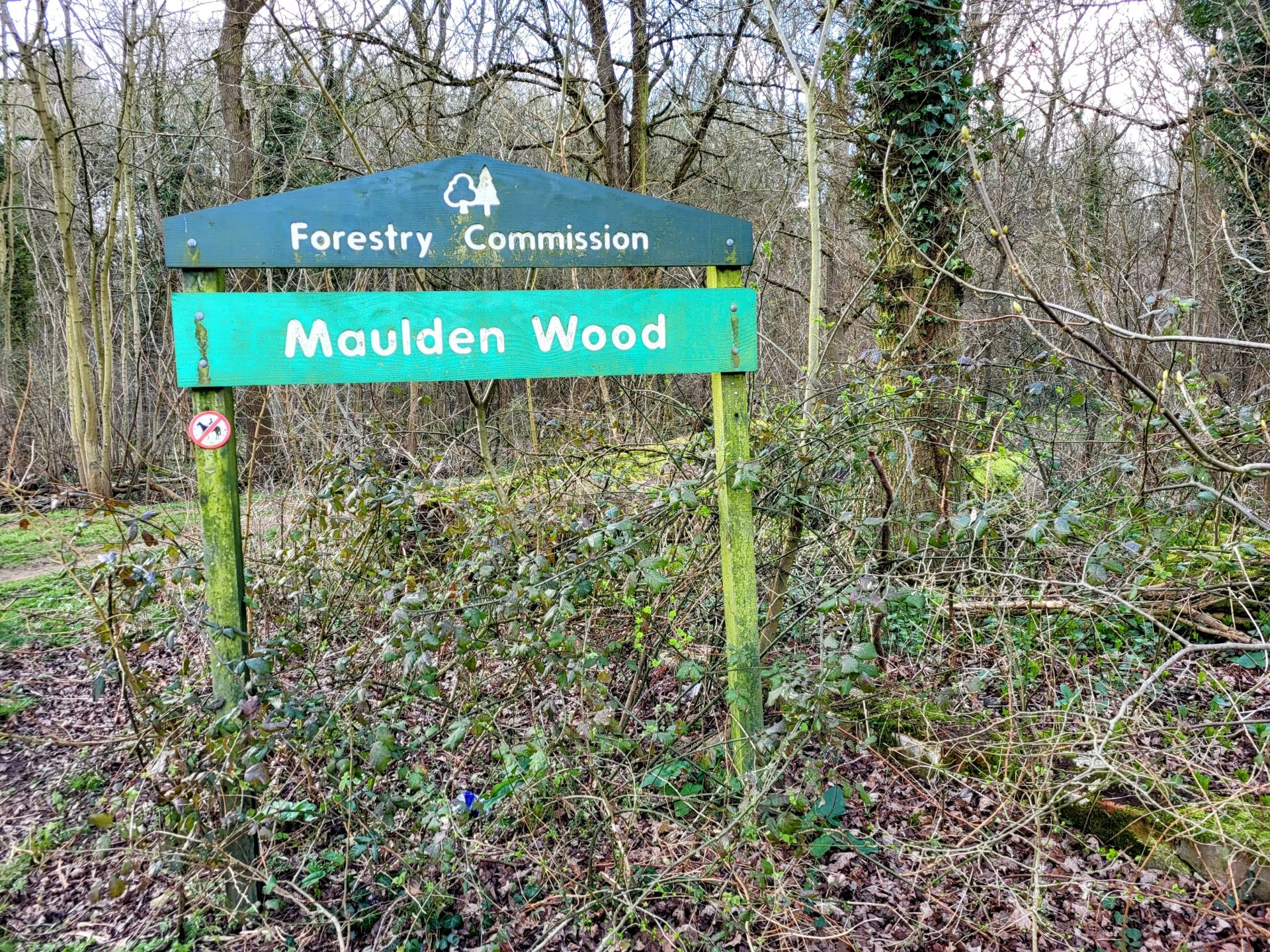 Maulden Woods
