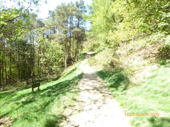 Brockett Booth Plantation Path