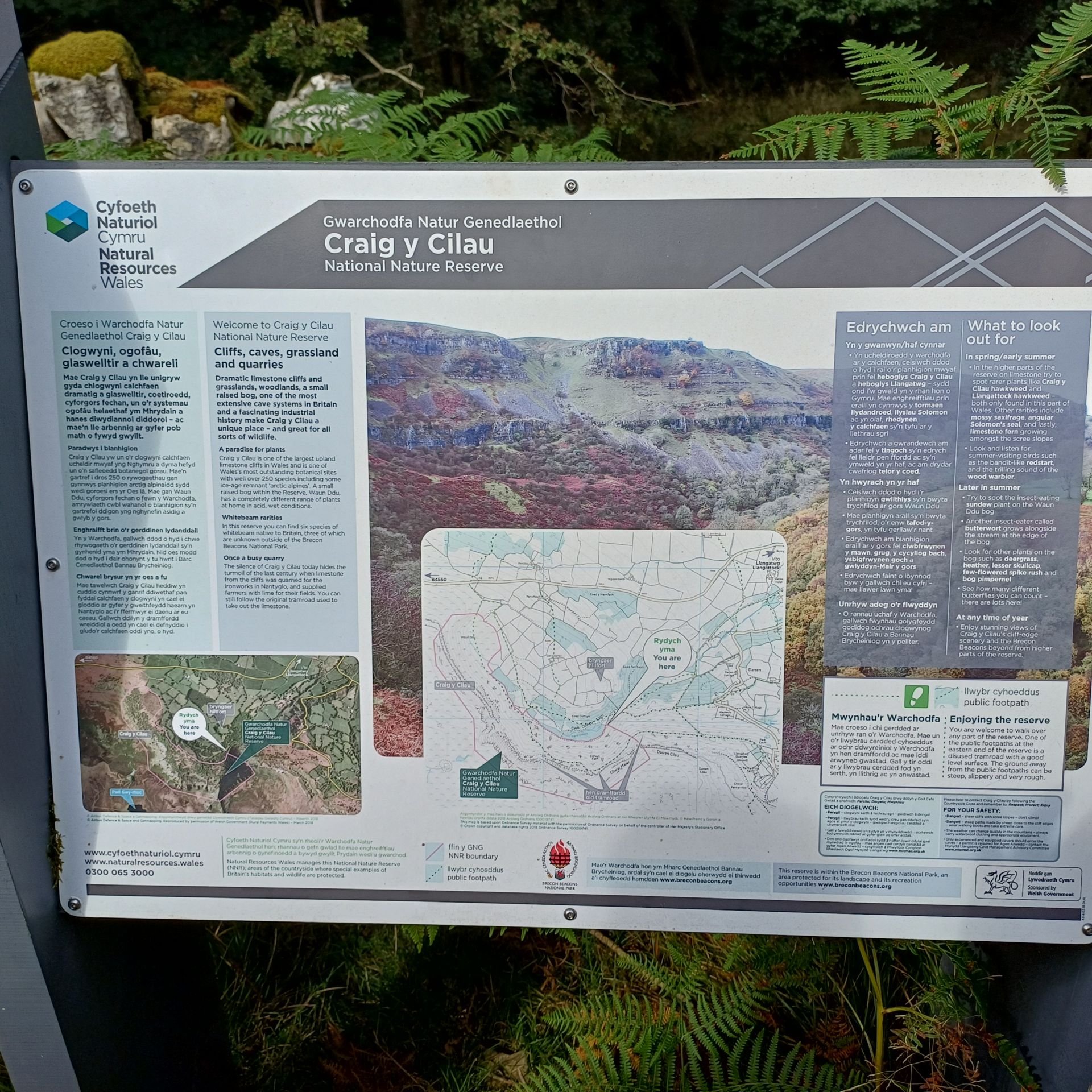 Walk to Craig y Ciliau, Llangattock