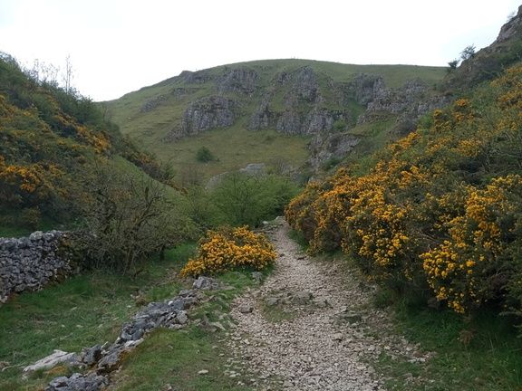 Biggin Dale