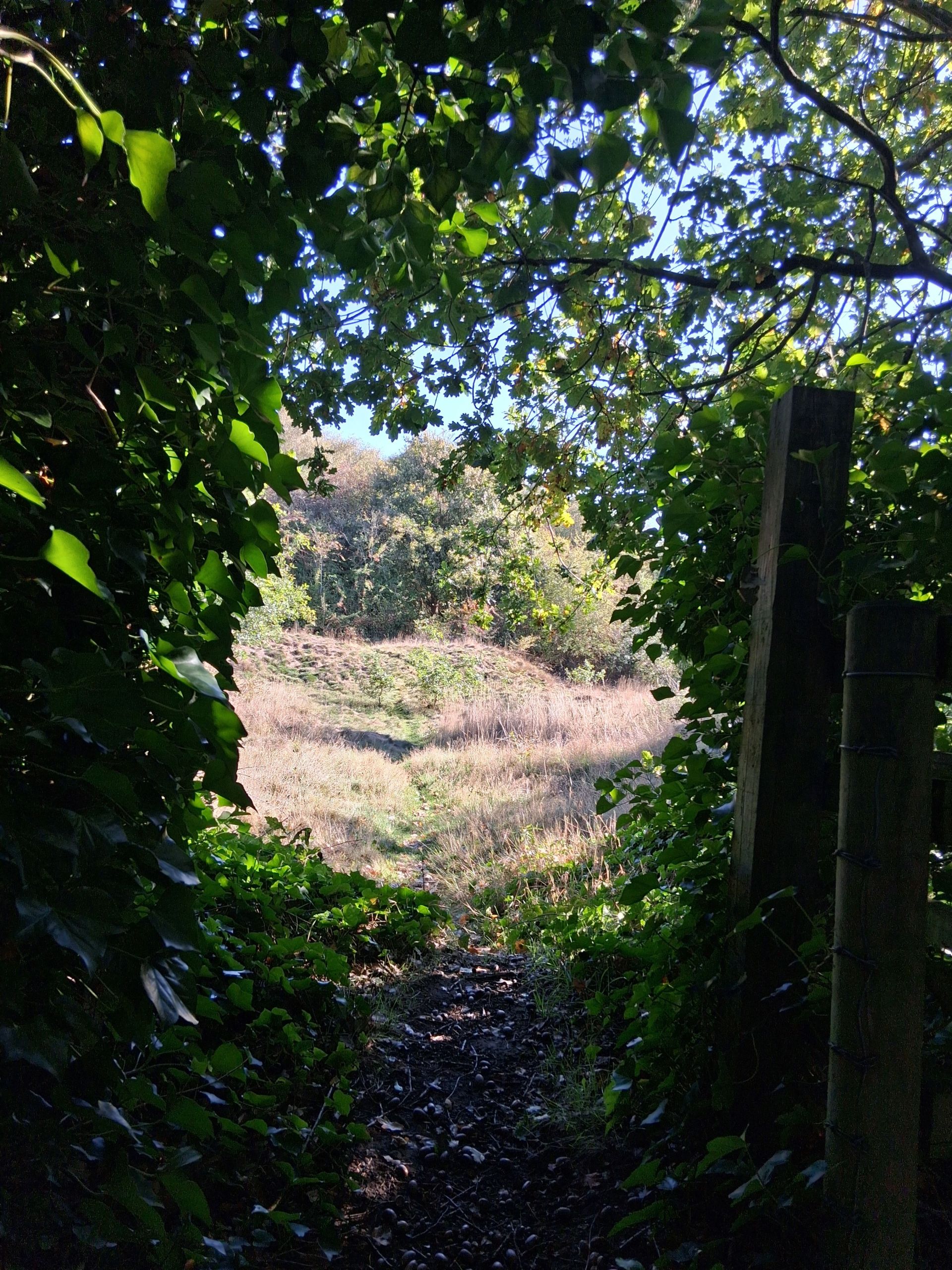 Gateway to a reclaimed path