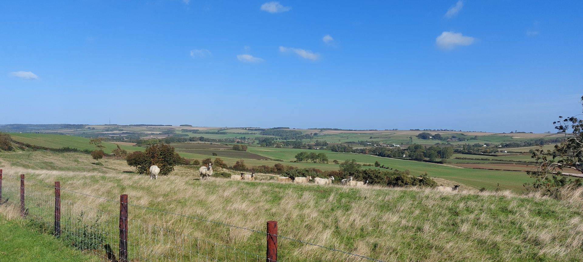 Overlooking the Wolds