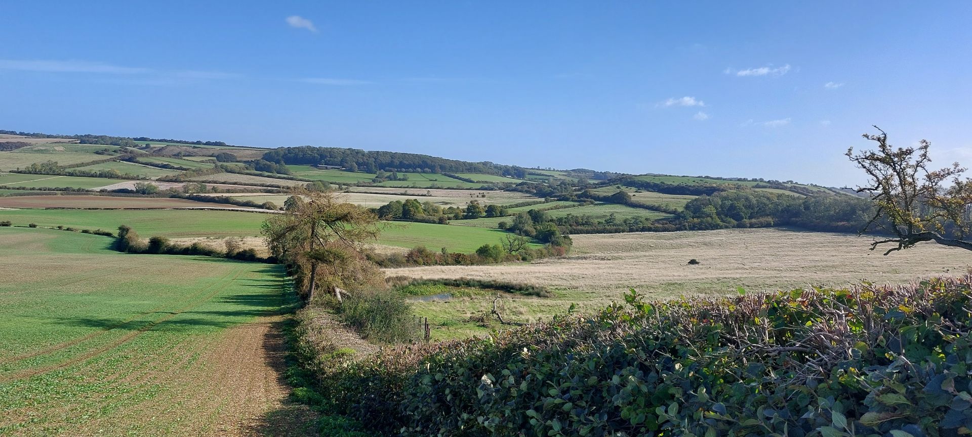 Overlooking the Wolds