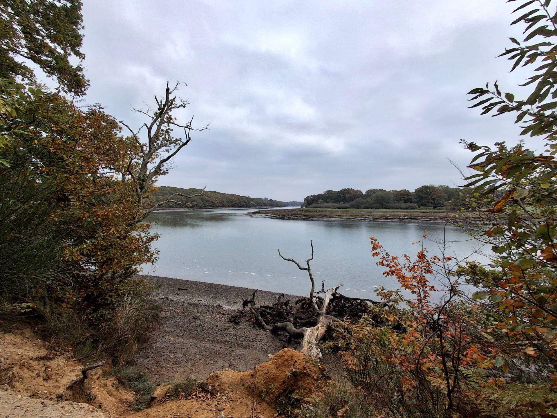 Looking east along the Hamble