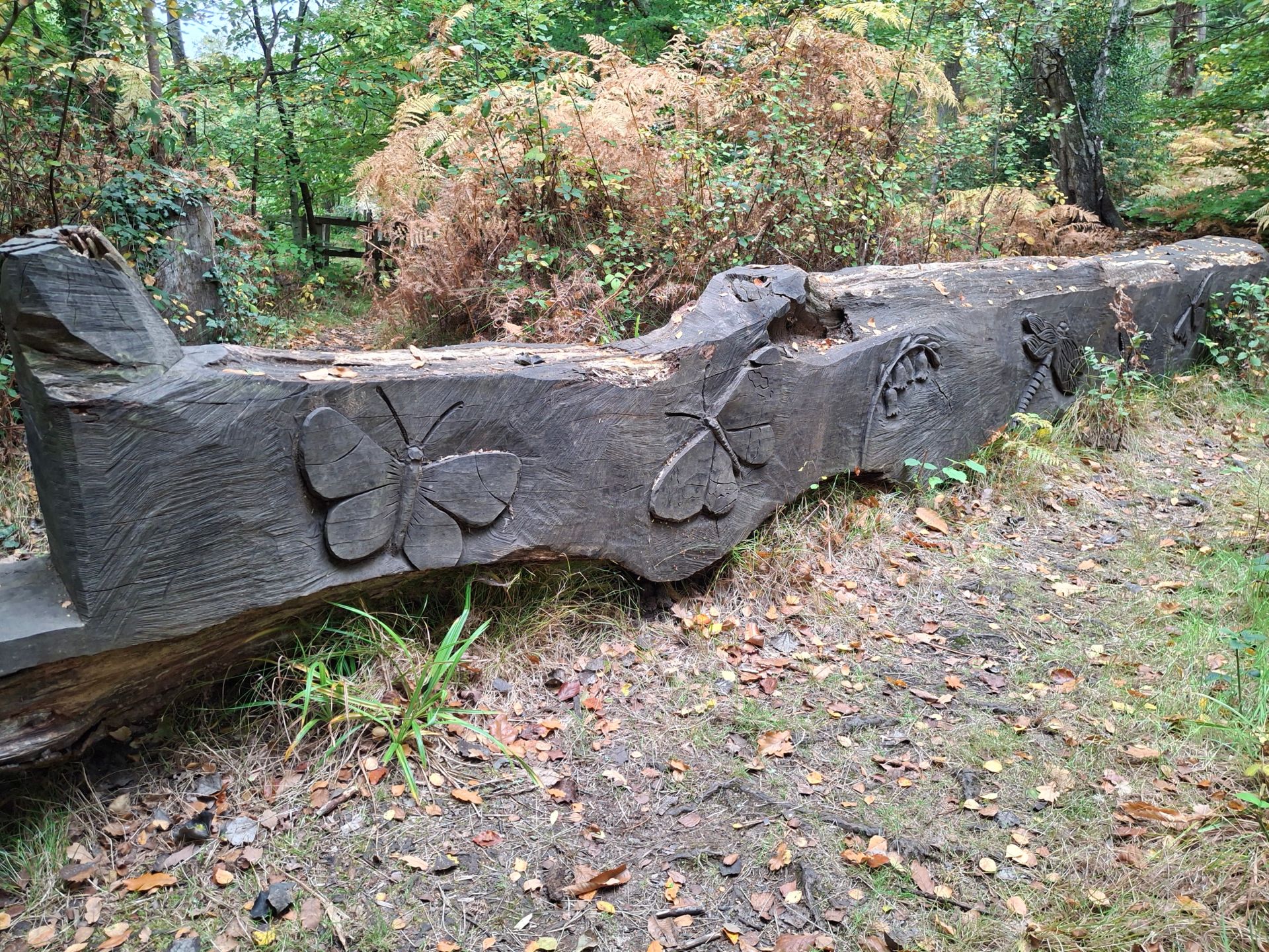 Wood carving in Hocombe Mead Nature Reserve