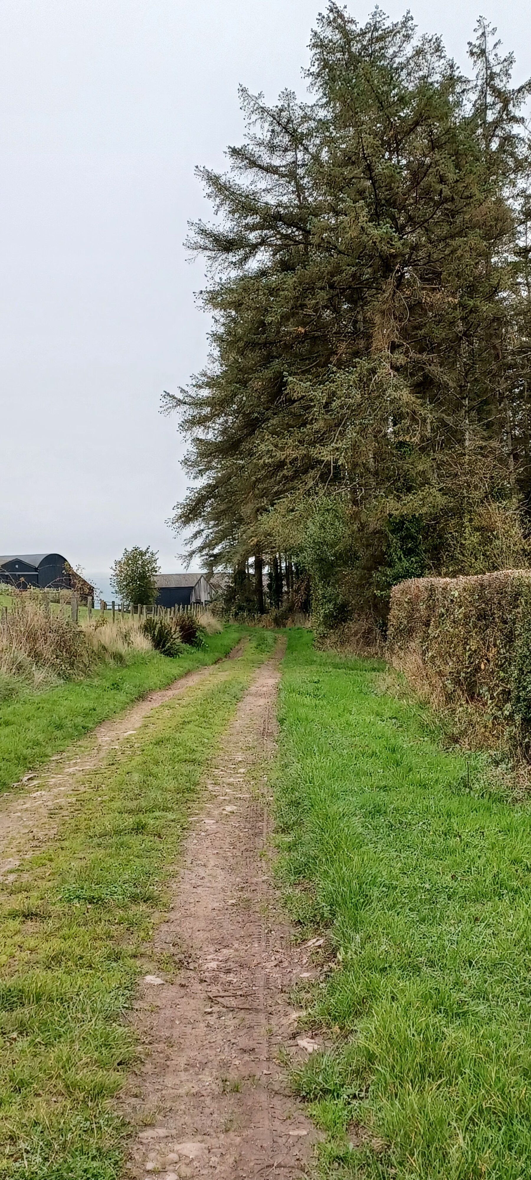 On the way back 