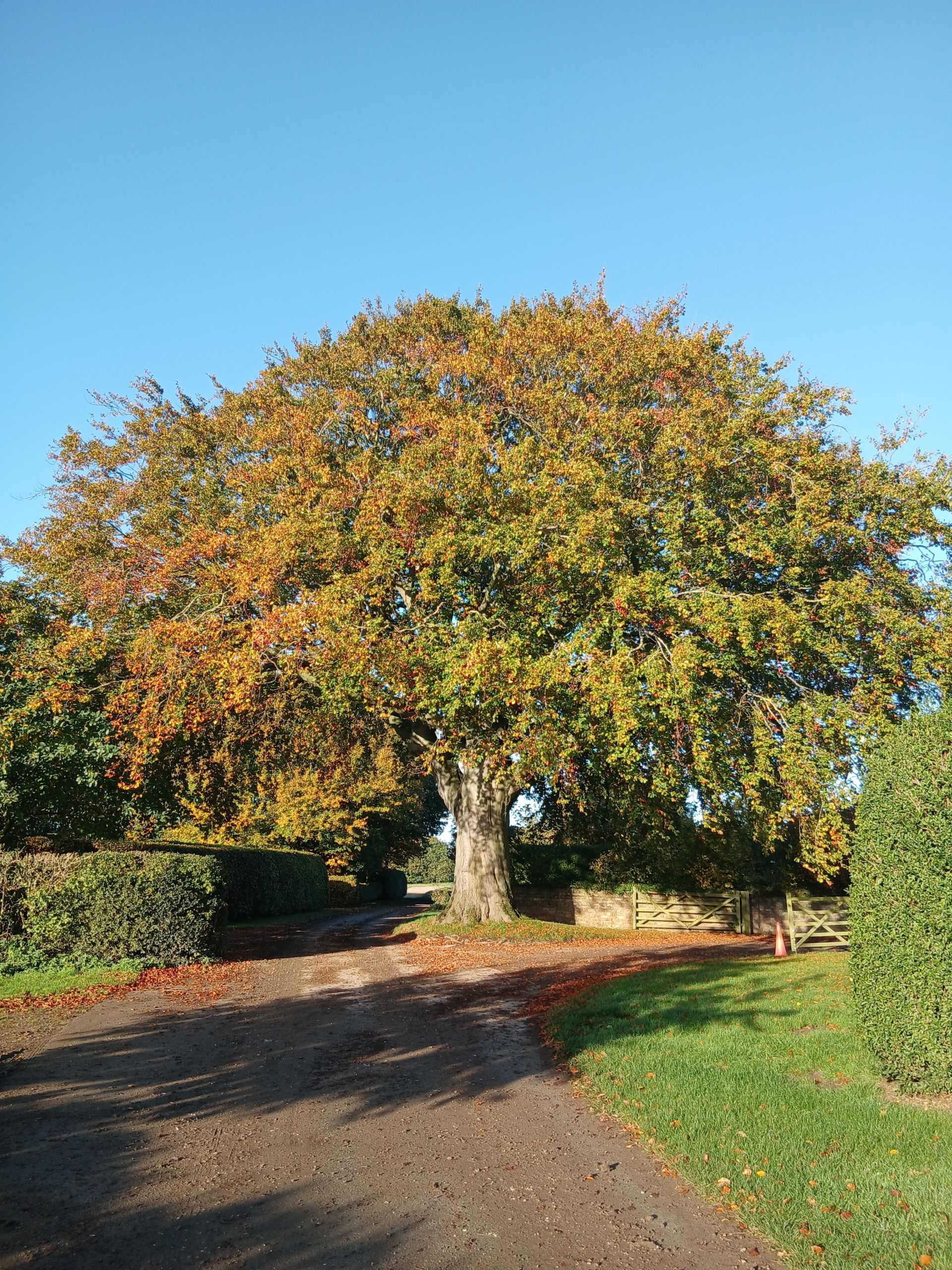 Near Little Wauldby Farm