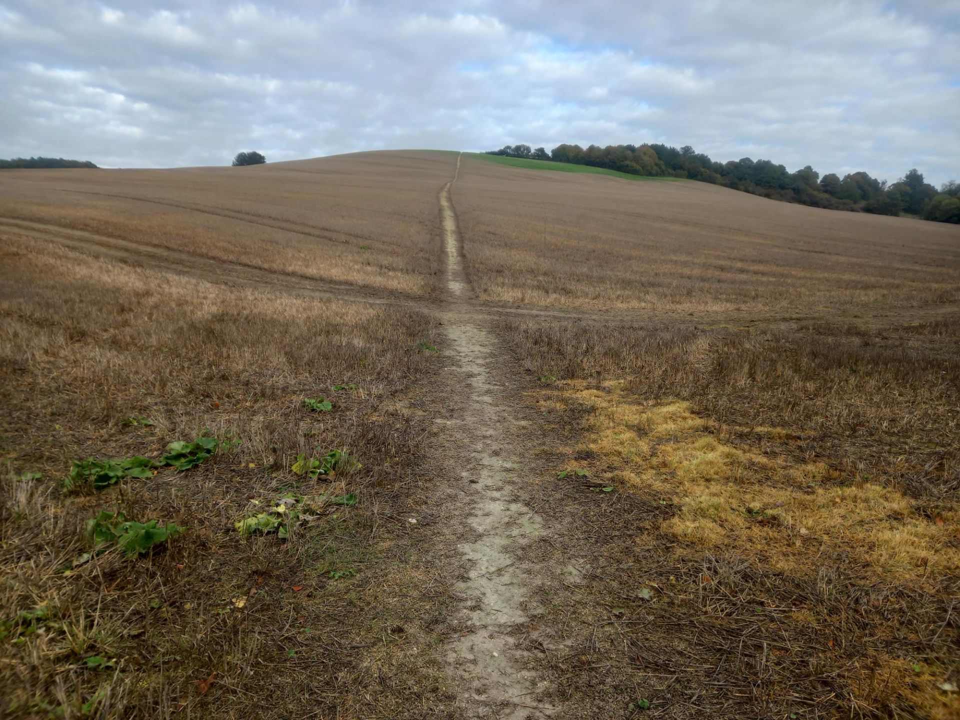 Its flat when you get to the top