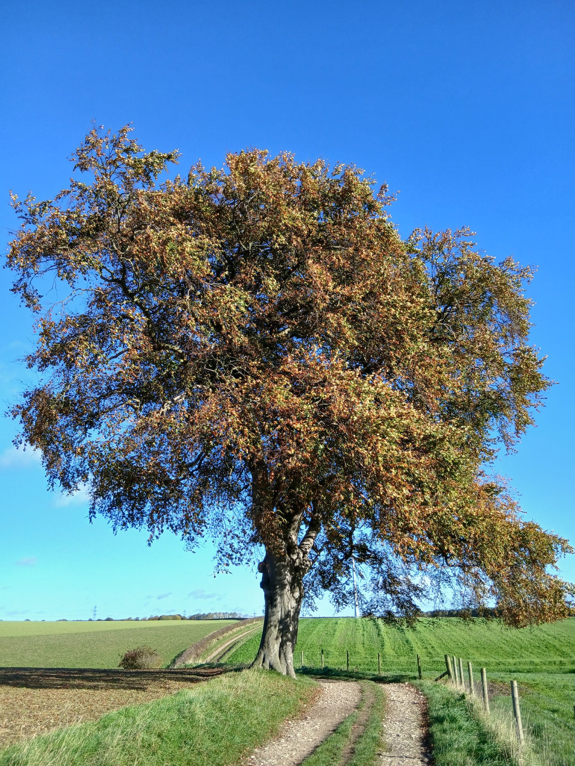 Approaching Wauldby Dam