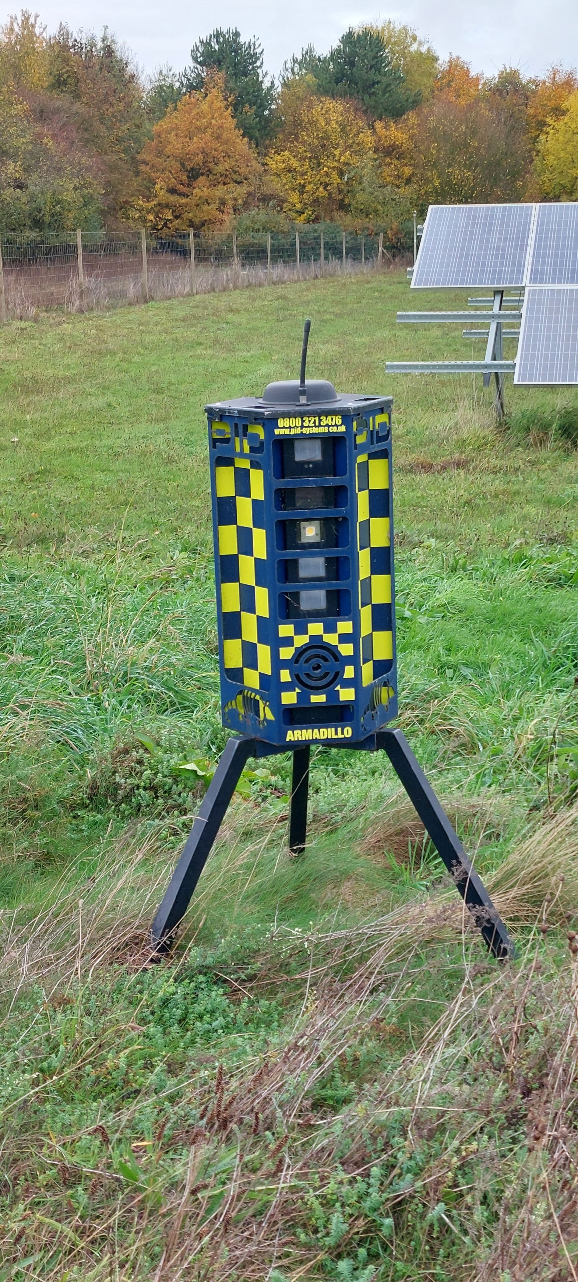 The Armadillo is watching you.