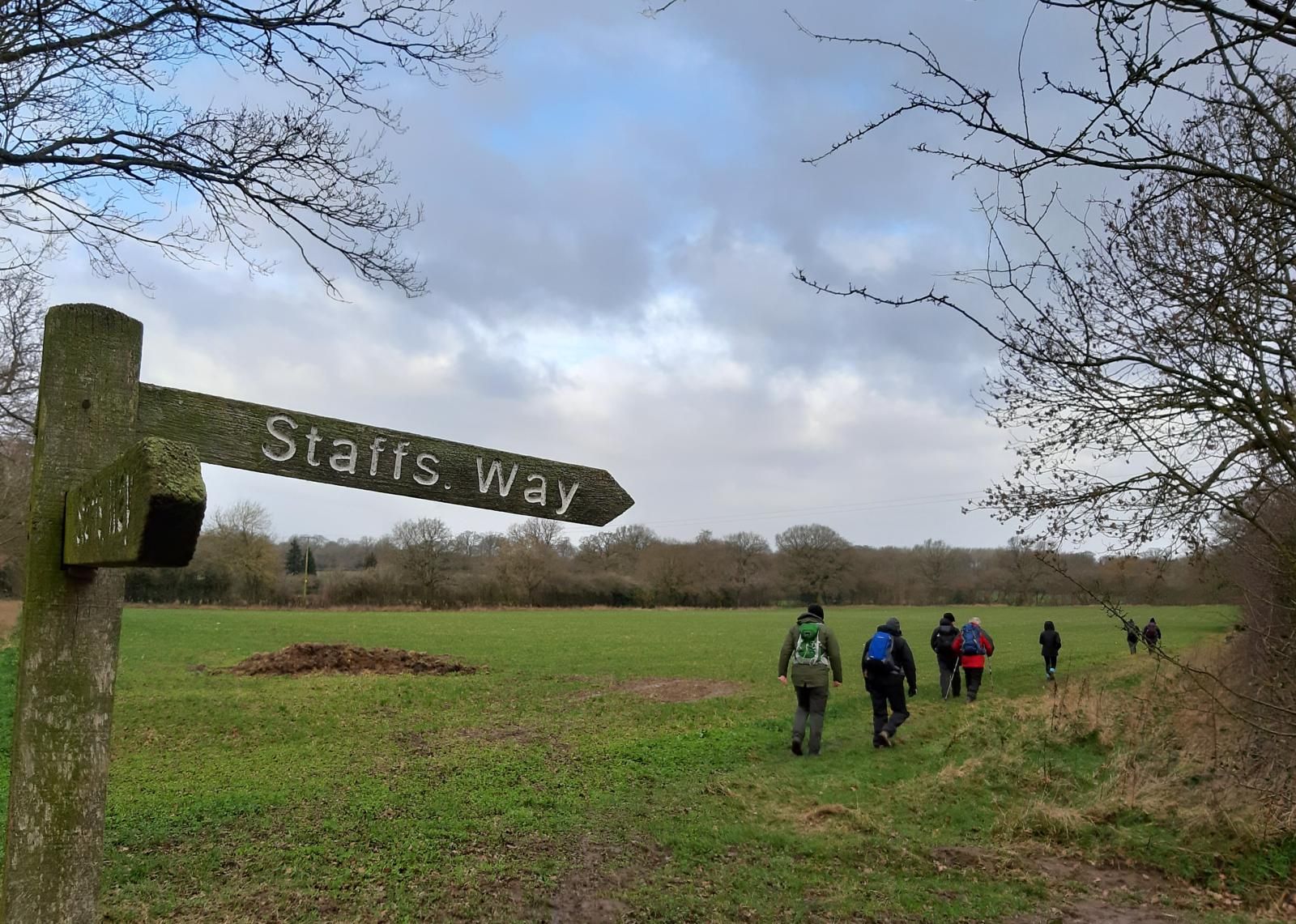 Stafford way