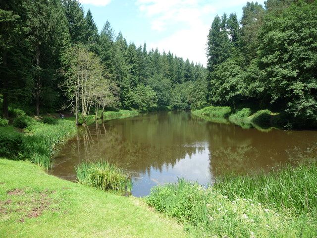 Soudley Ponds