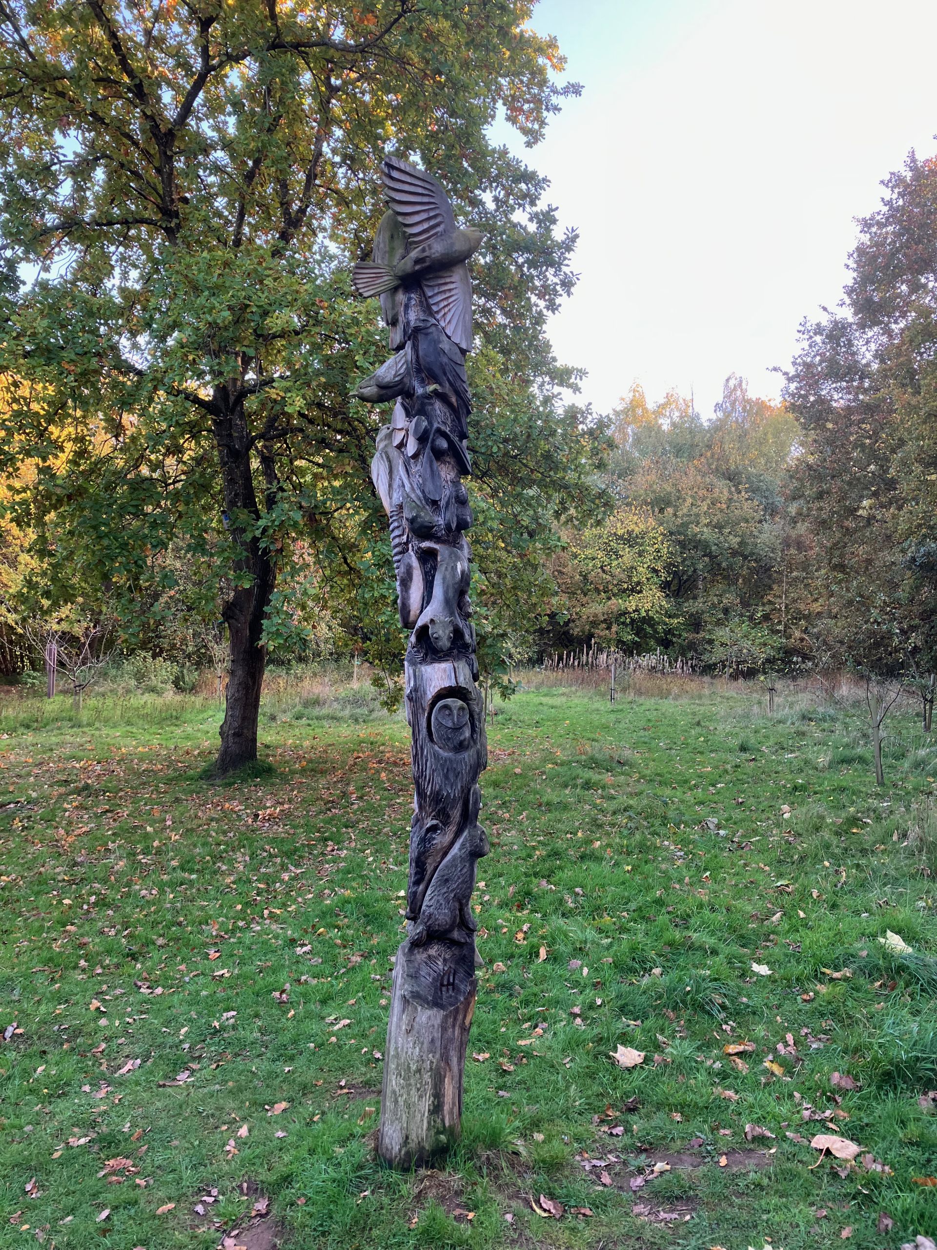 In Stanmore Country Park