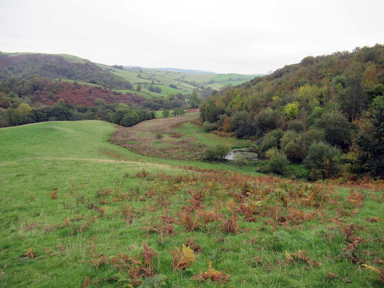 A view of some hills with a small pond in the valley.