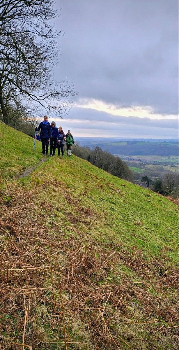 Abberley Hills