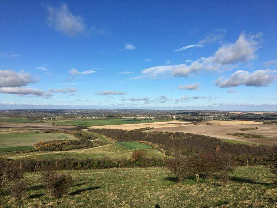 A landscape