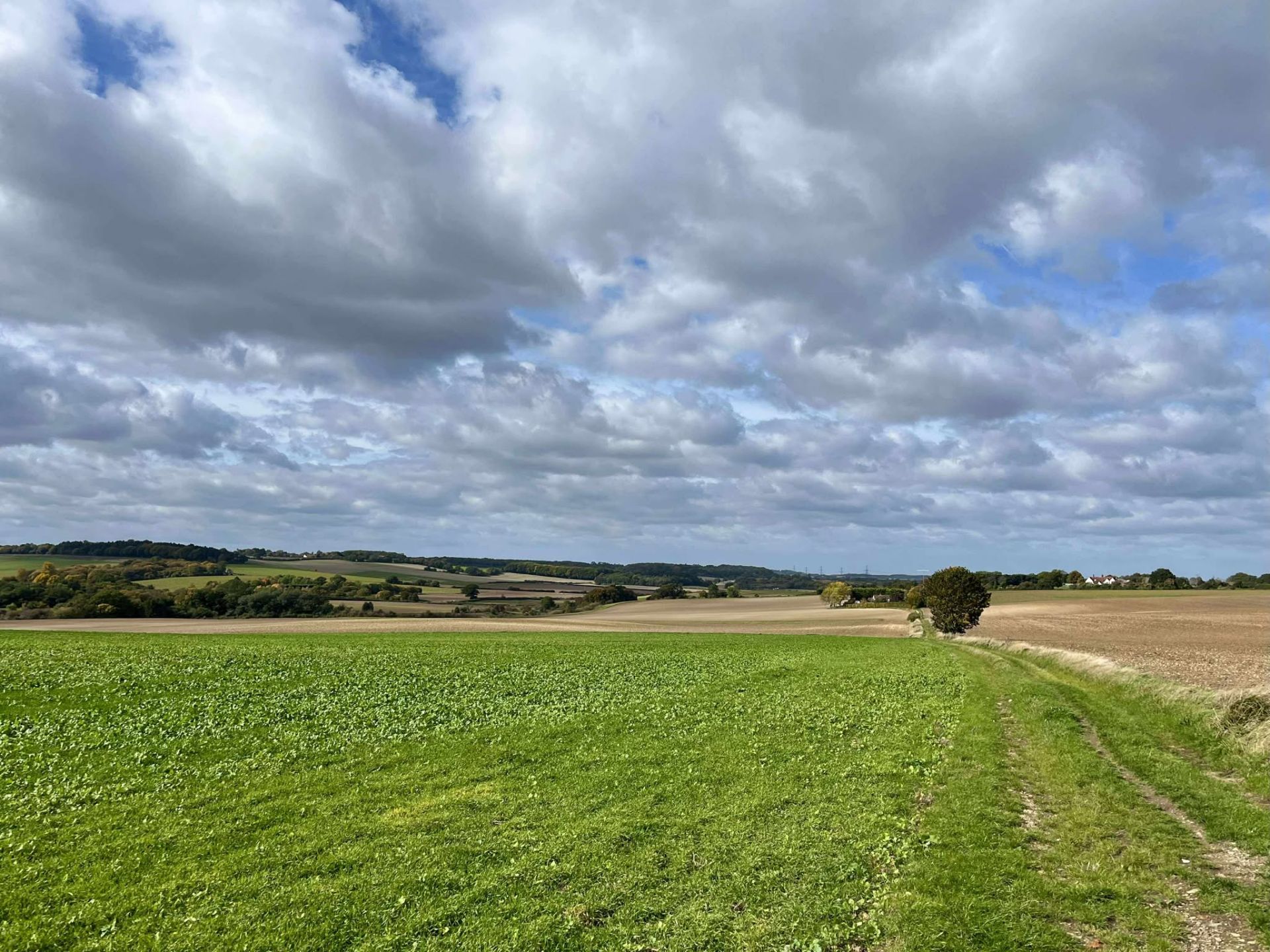 A view of rolling rural countryside