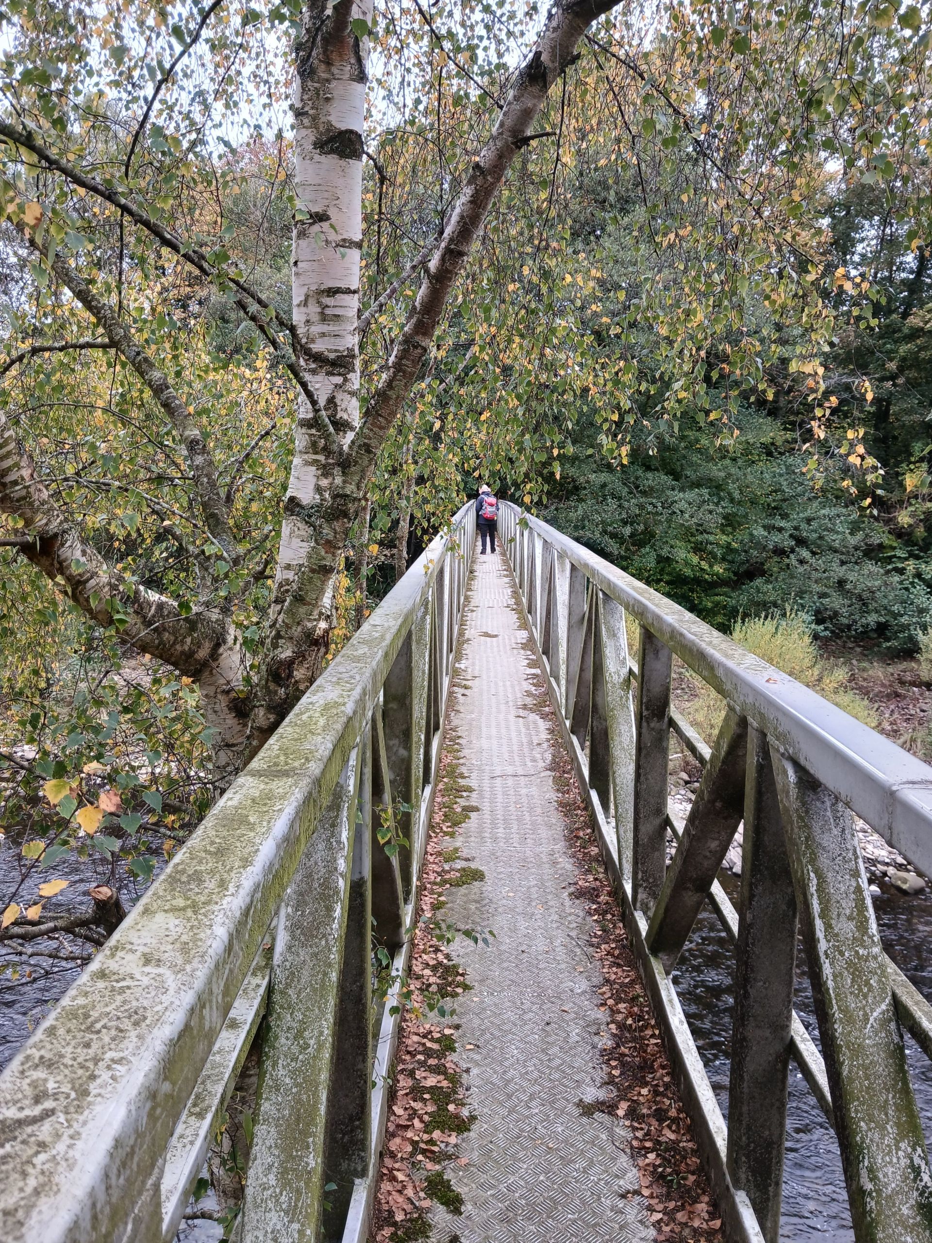 Wear footbridge