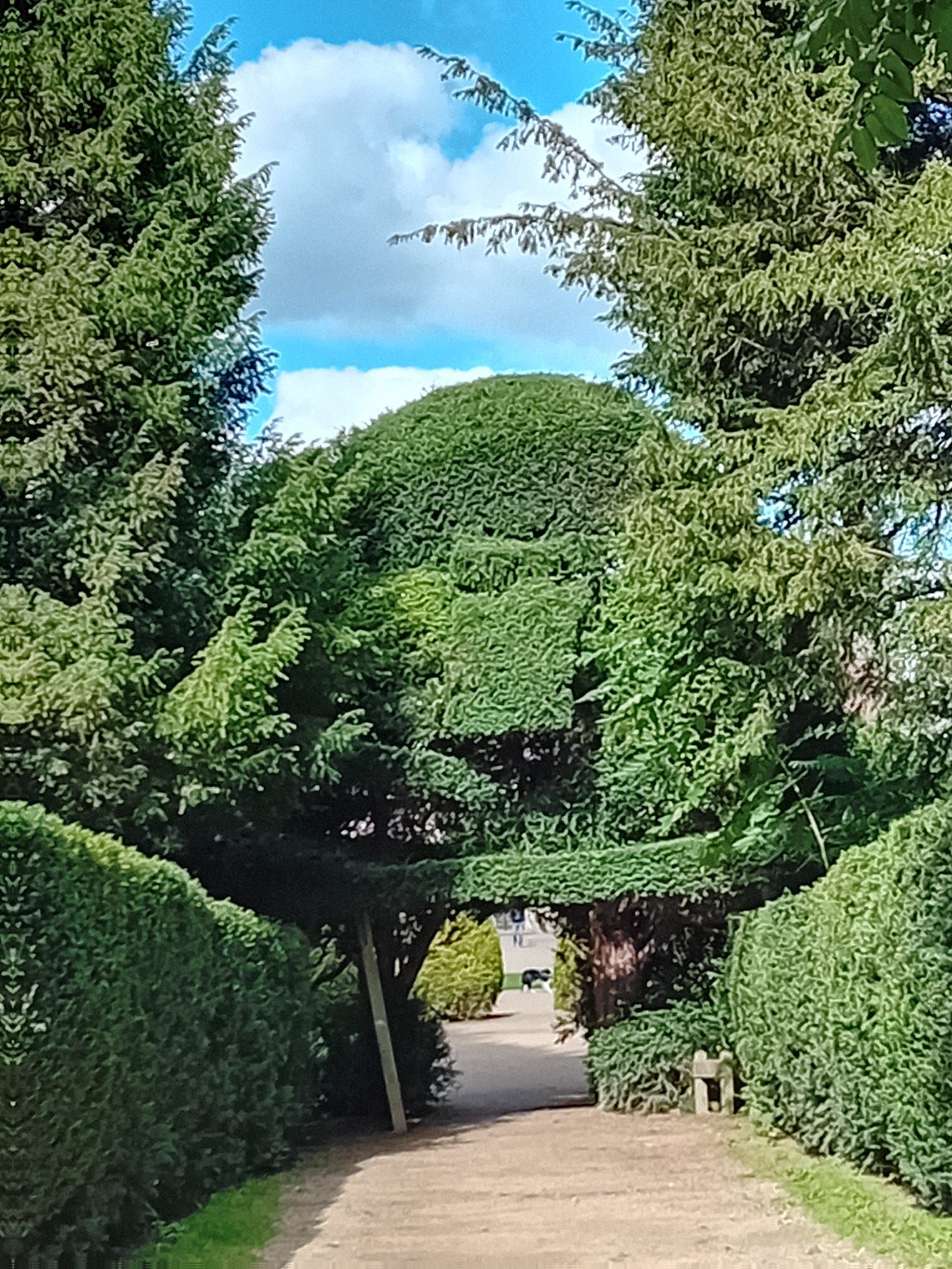 Gardens