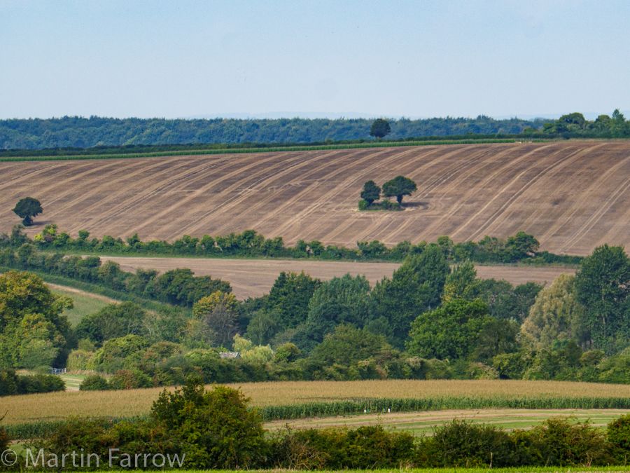 view over Abbotstone Down