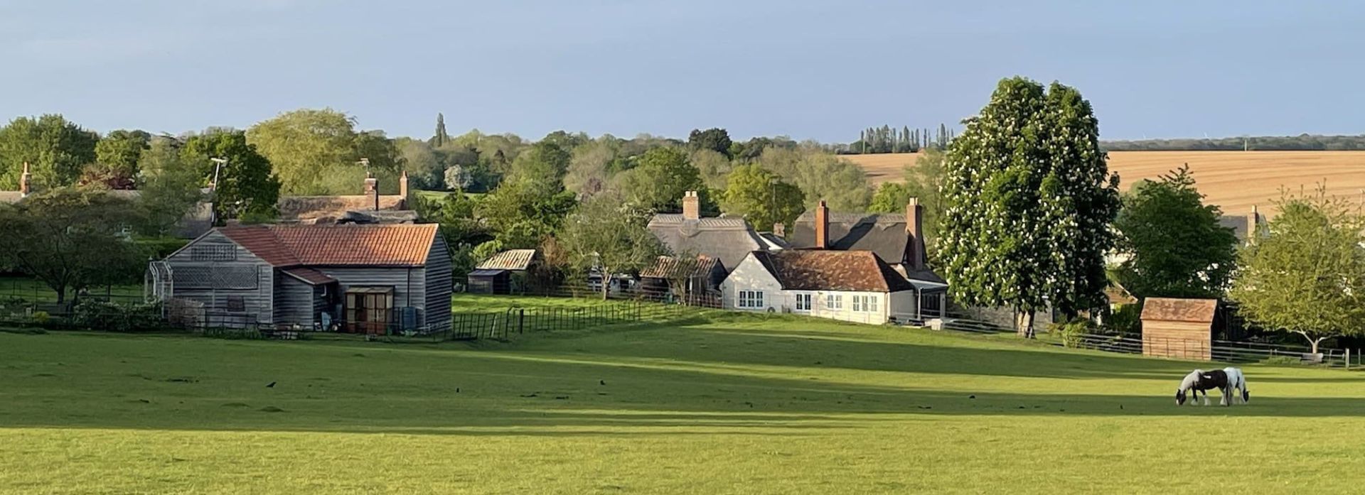 field