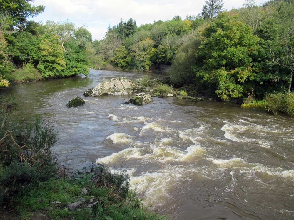 A wide fast flowing river bordered by trees.