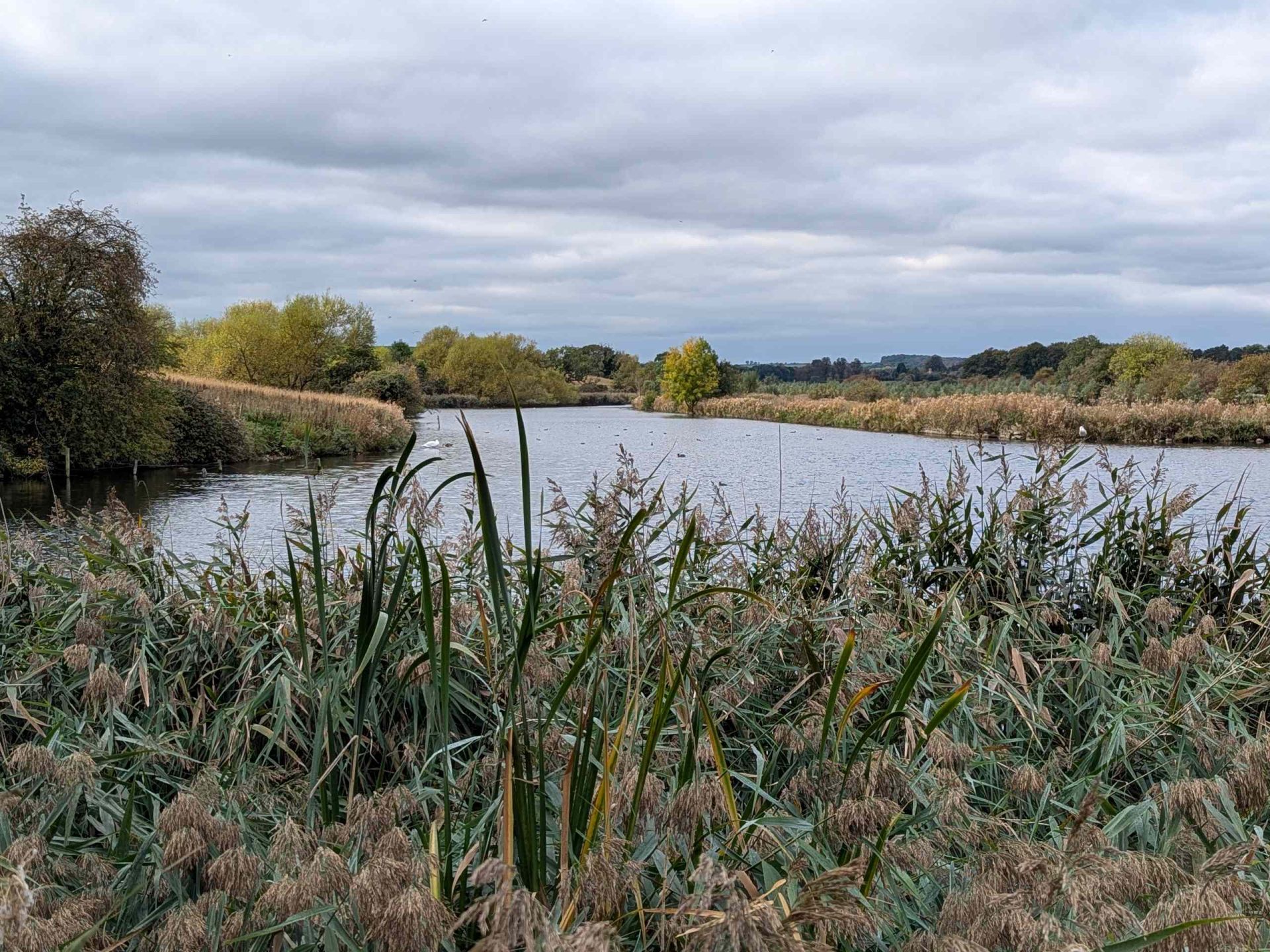Lake at Cuckney