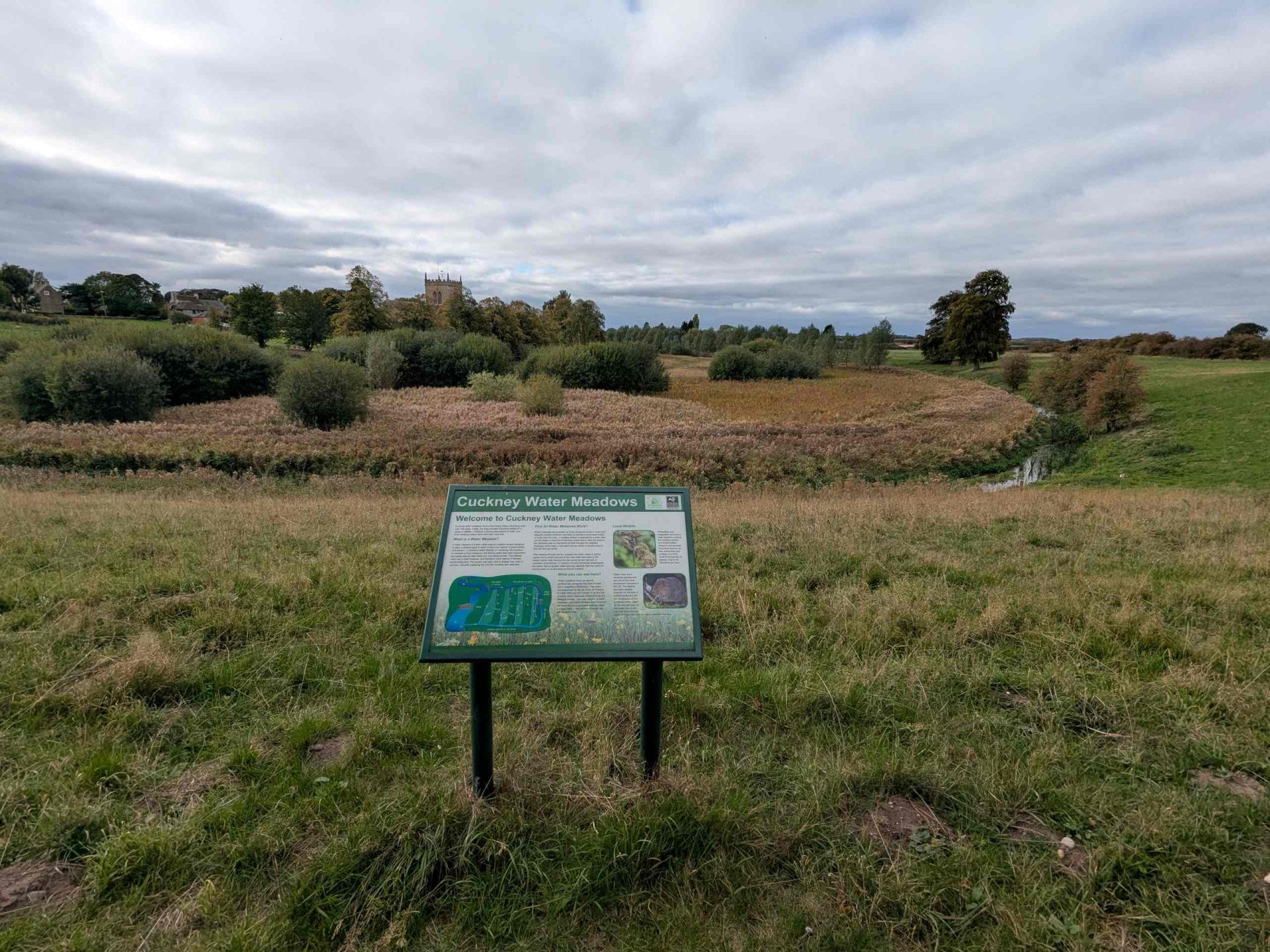 Cuckney Water Meadows
