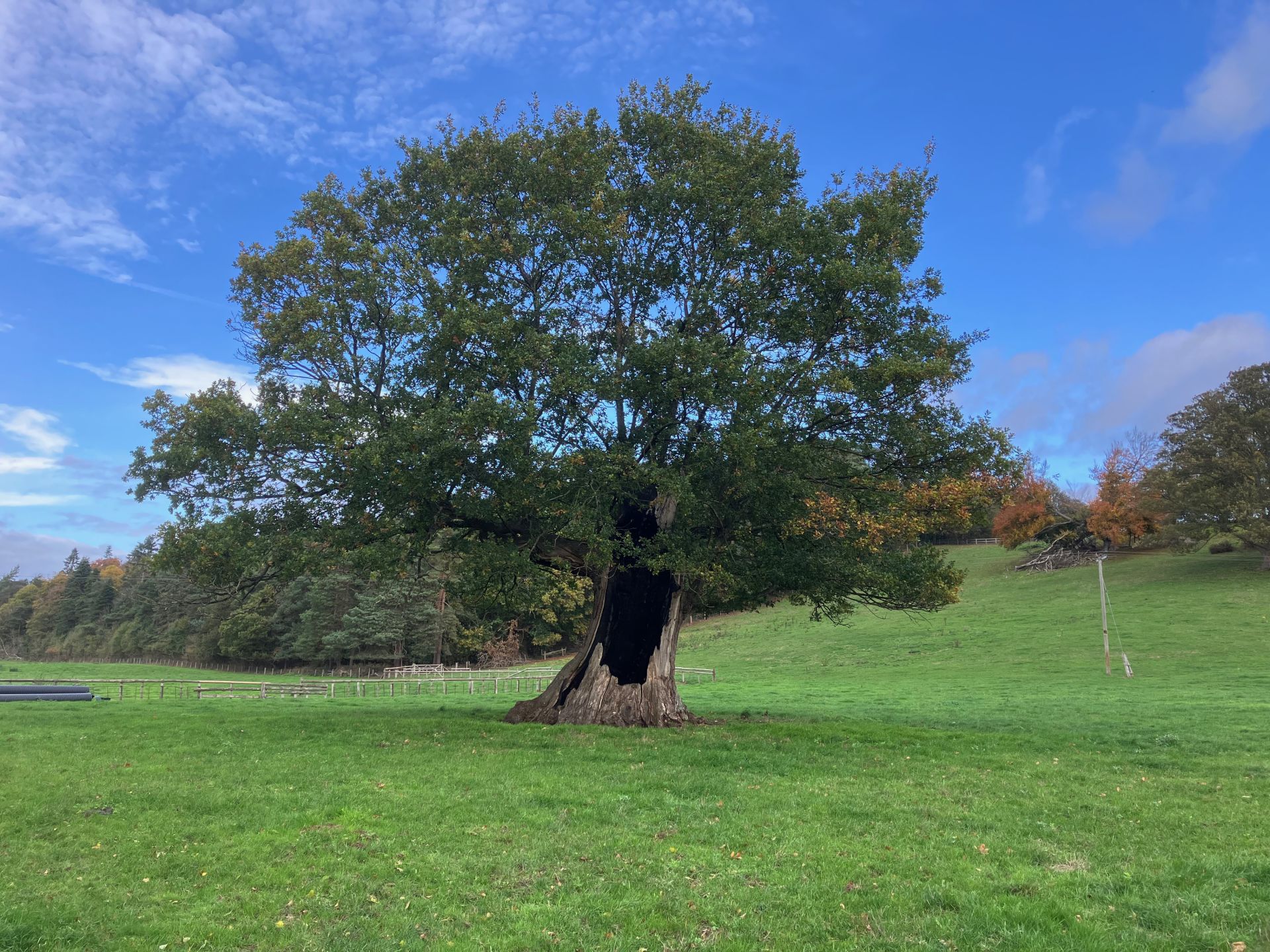 Near Davenport House