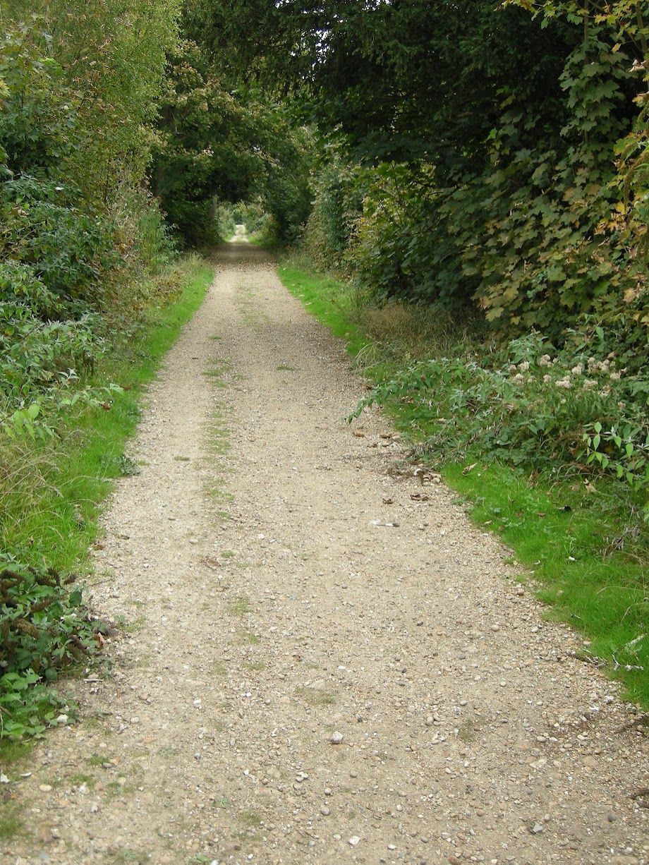 Stane Street - Roman road