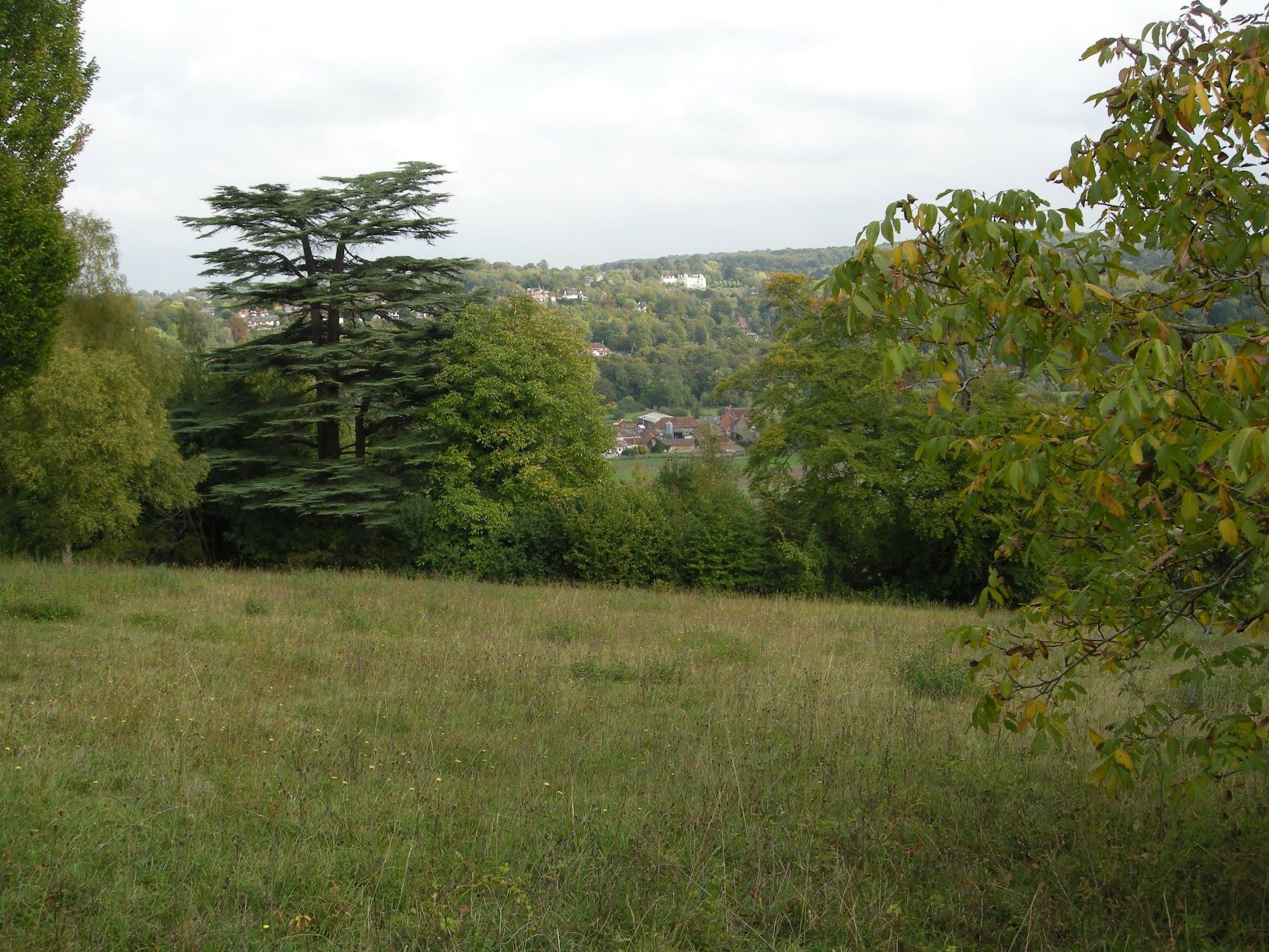 View over Mole Valley 