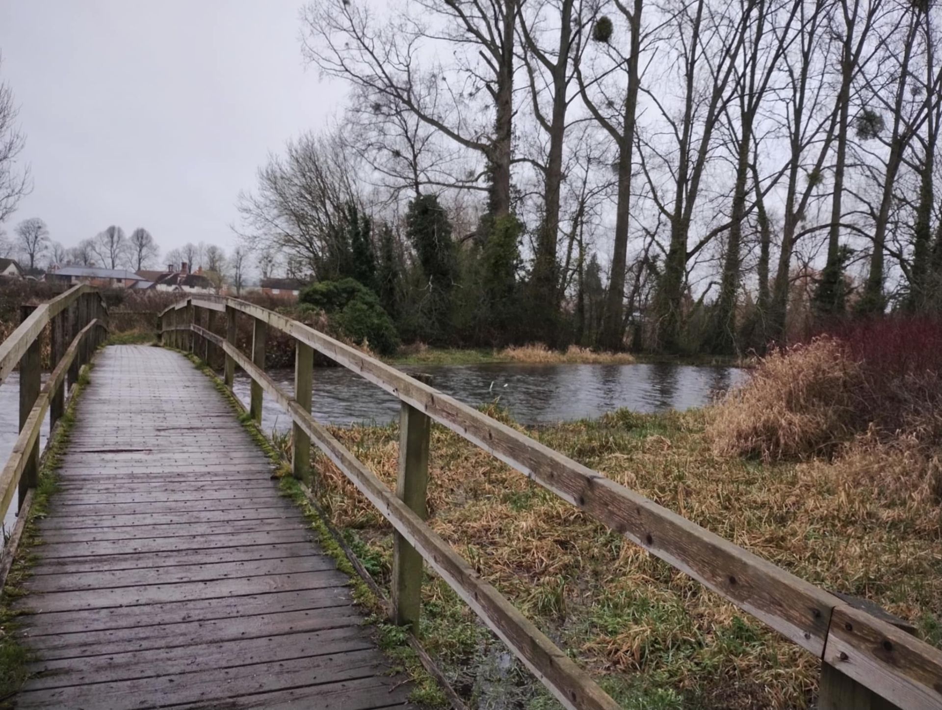 view over footbridge in winter