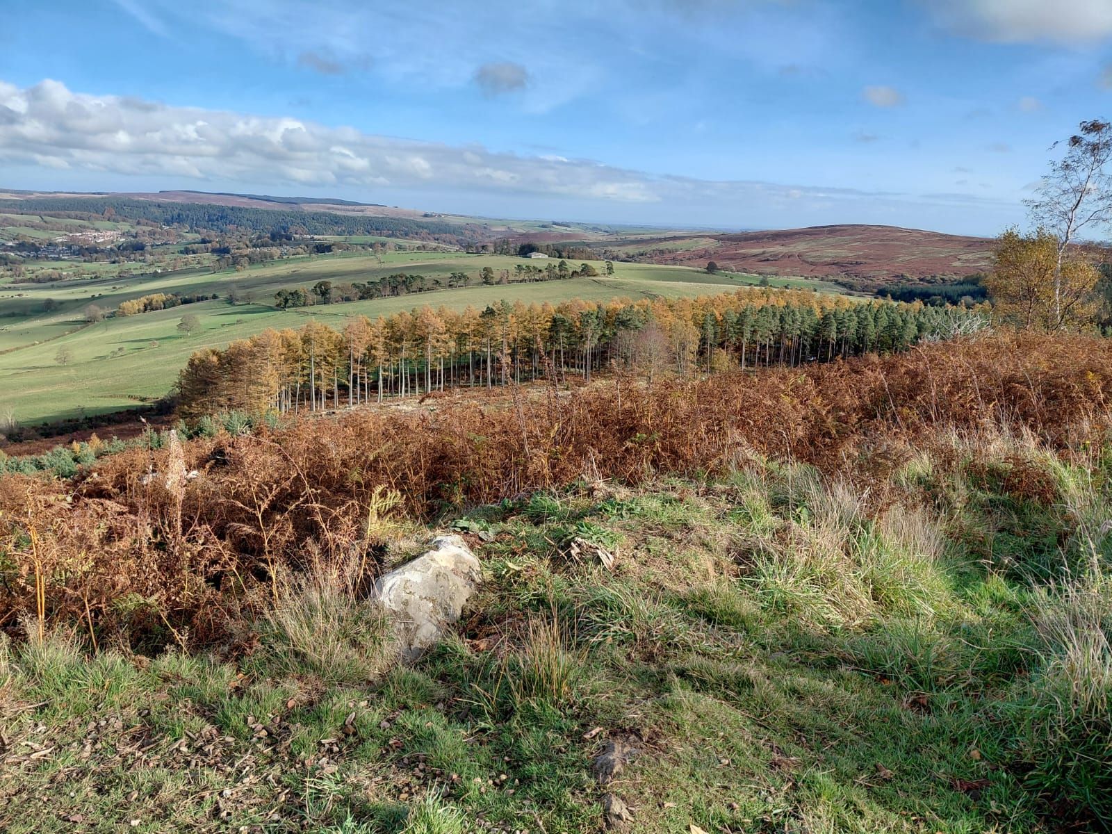 View from Simonside Hills