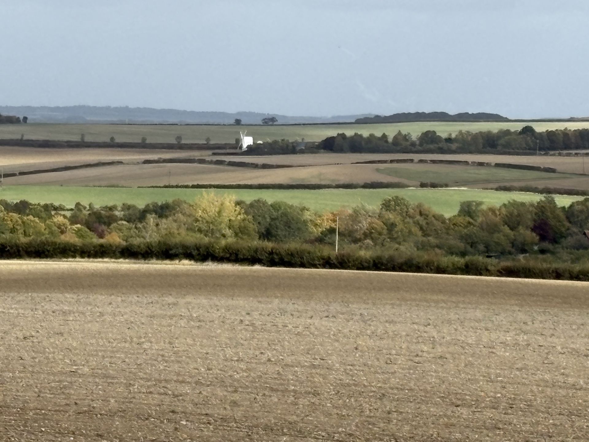 A landscape