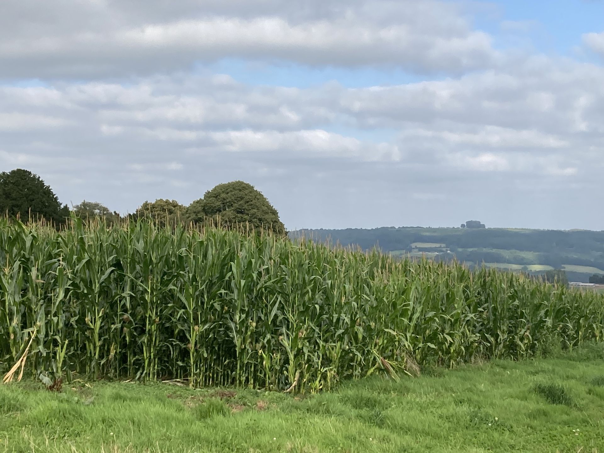 Can you see Mayhill?