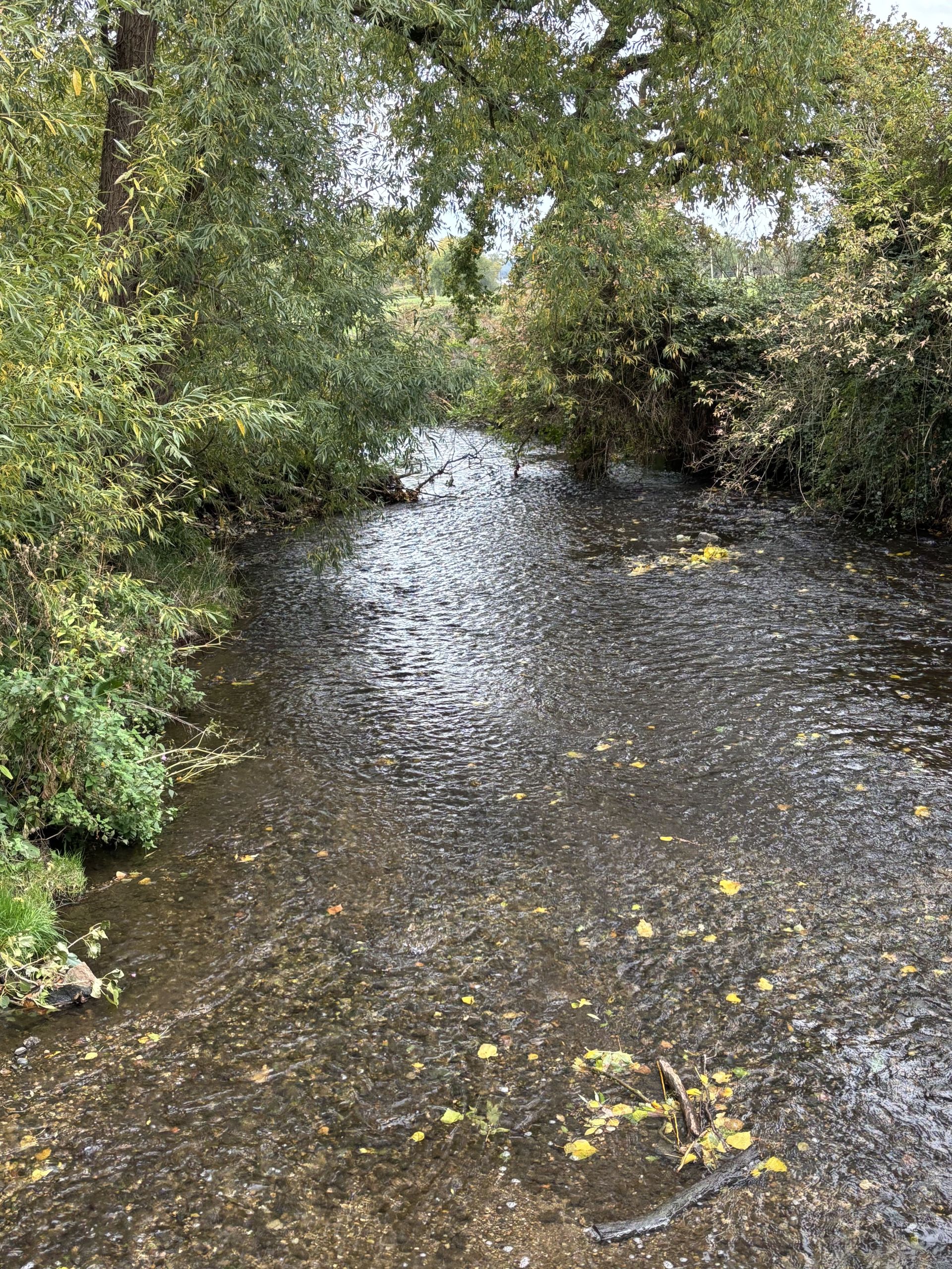 Small stream