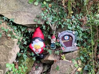 gnomes