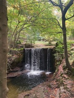 waterfall