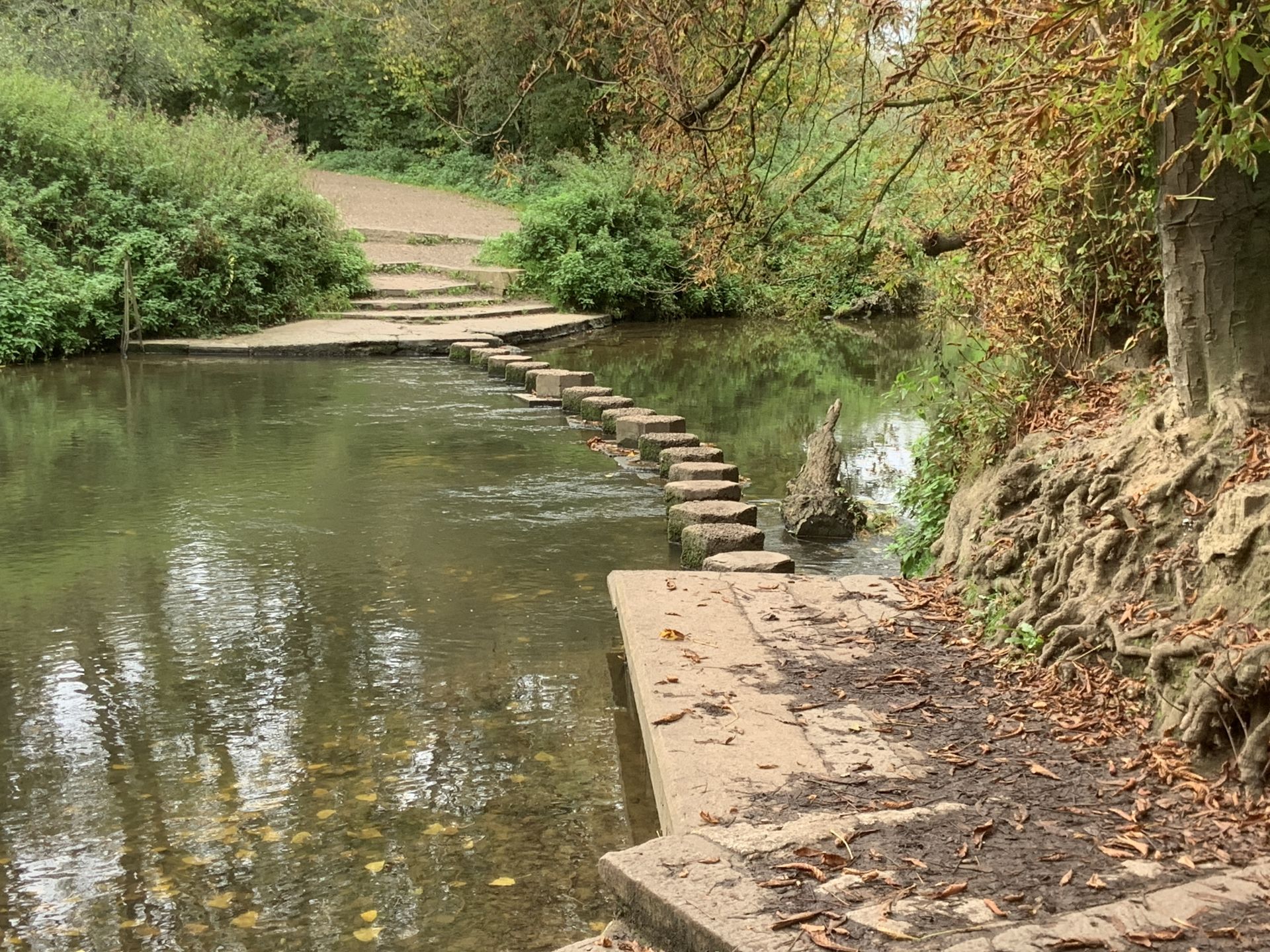 Stepping stones across the River Mole