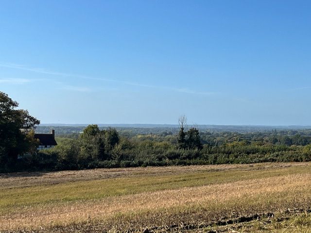 View from Tilburtstow